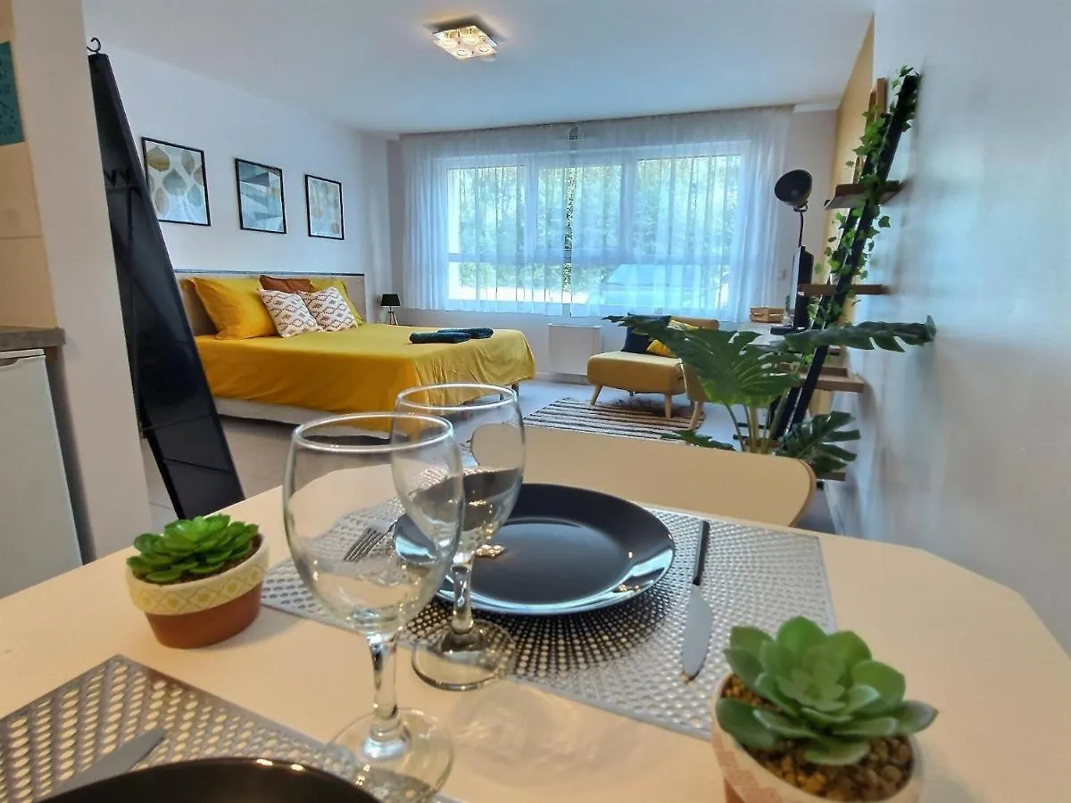 Studio Le Jungle - Roissy Cdg - Parc Asterix - Paris Moussy-le-Neuf 0*,